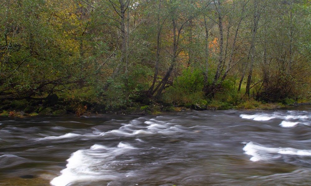 Fawn Creek Campground